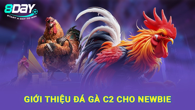 Giới thiệu đá gà C2 cho newbie