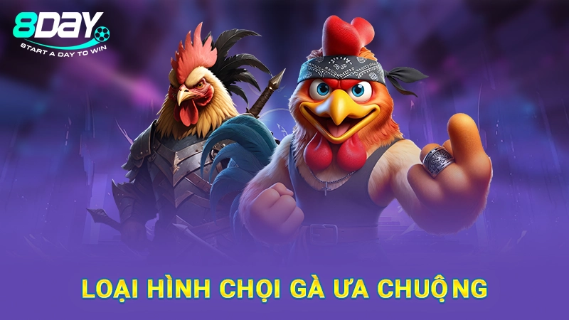 Loại hình chọi gà ưa chuộng