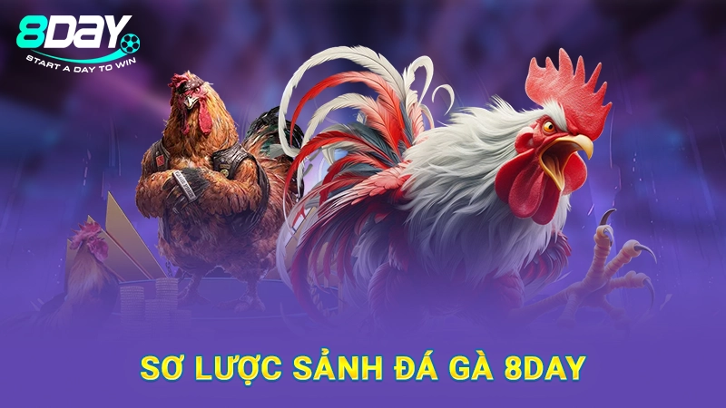 Sơ lược sảnh đá gà 8Day
