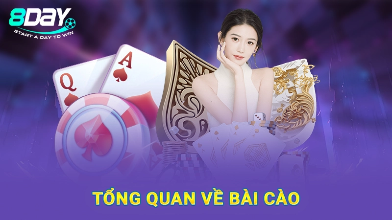 Tổng quan về bài cào